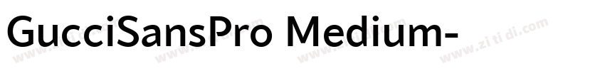 GucciSansPro Medium字体转换